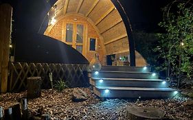 La cabane de l'étang